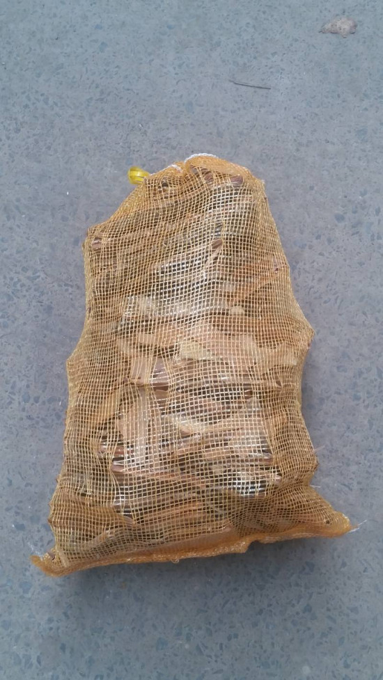 Large Net Kindling Image